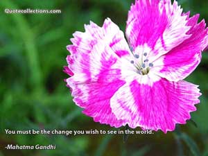 mother_teresa_quotes Quotes 1